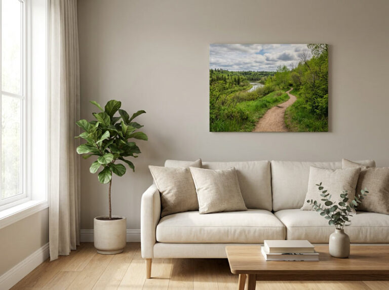 Edmonton Canvas Prints: Spring Light Is Back (Make Your Walls Look Alive Again)